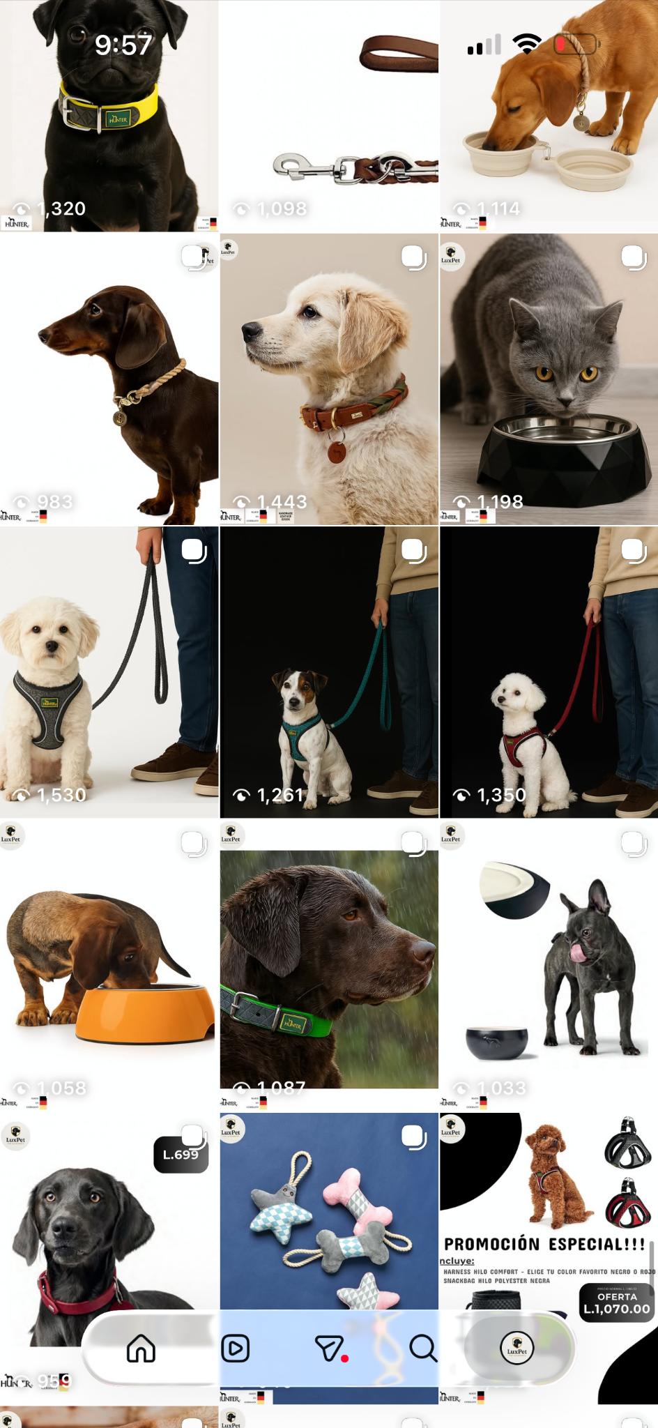 Correas LuxPet