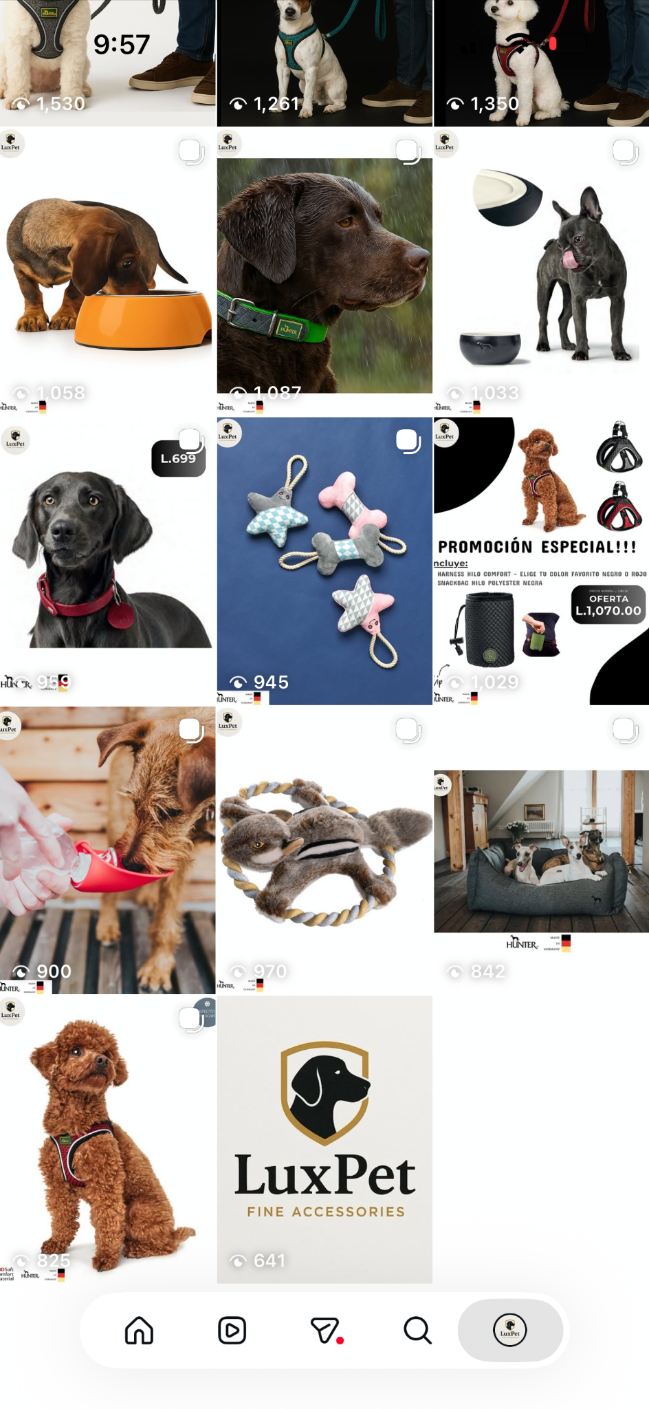 Accesorios LuxPet